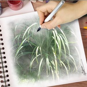 Meet your Posher, Teresa